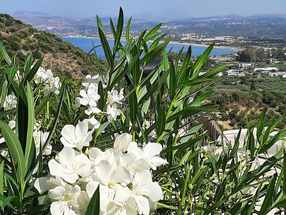 Aloe Villa Chania Crete Georgioupoli Esterno foto
