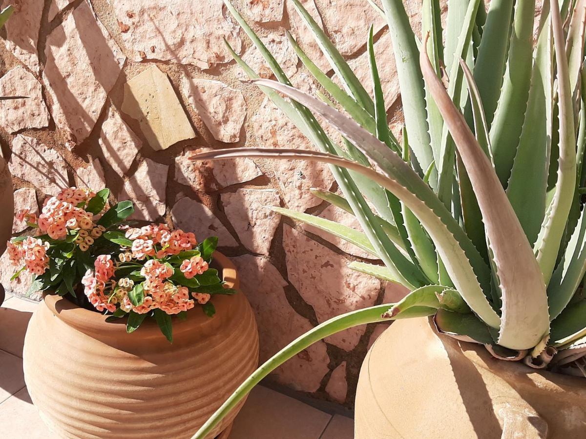 Aloe Villa Chania Crete Georgioupoli Esterno foto