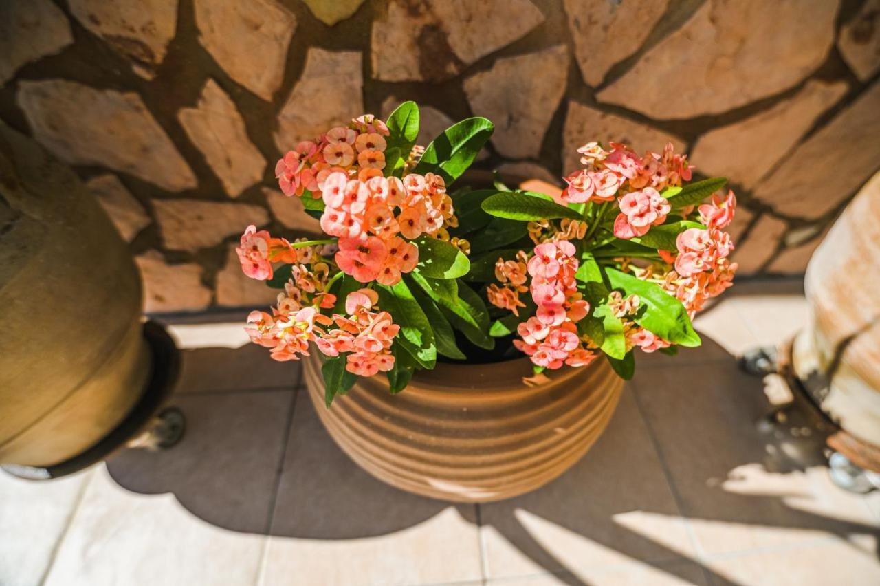 Aloe Villa Chania Crete Georgioupoli Esterno foto